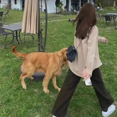 解放了疯子
